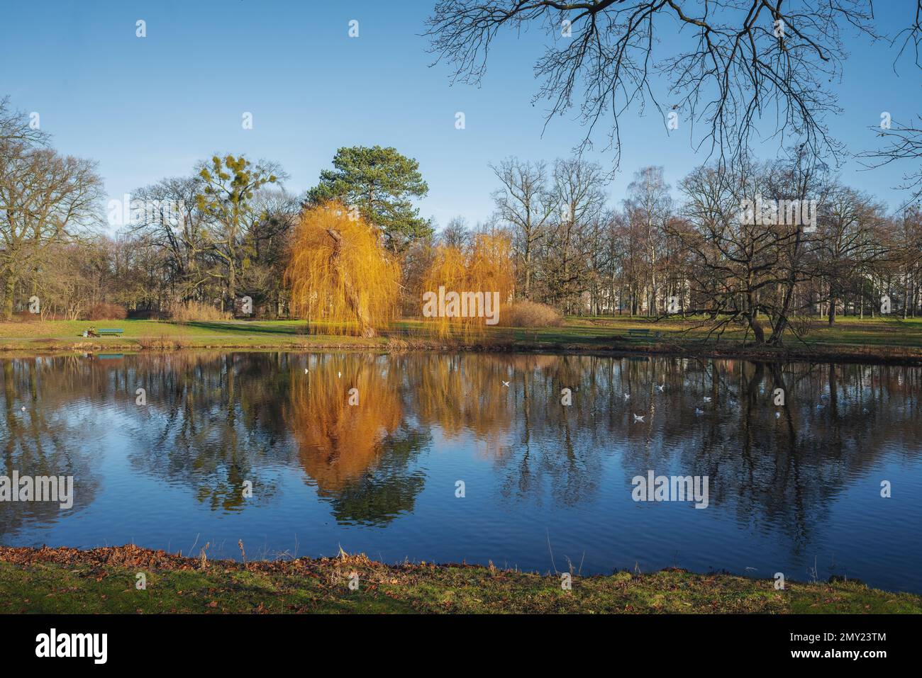 Georgengarten Park a Herrenhausen - Hannover, bassa Sassonia, Germania Foto Stock