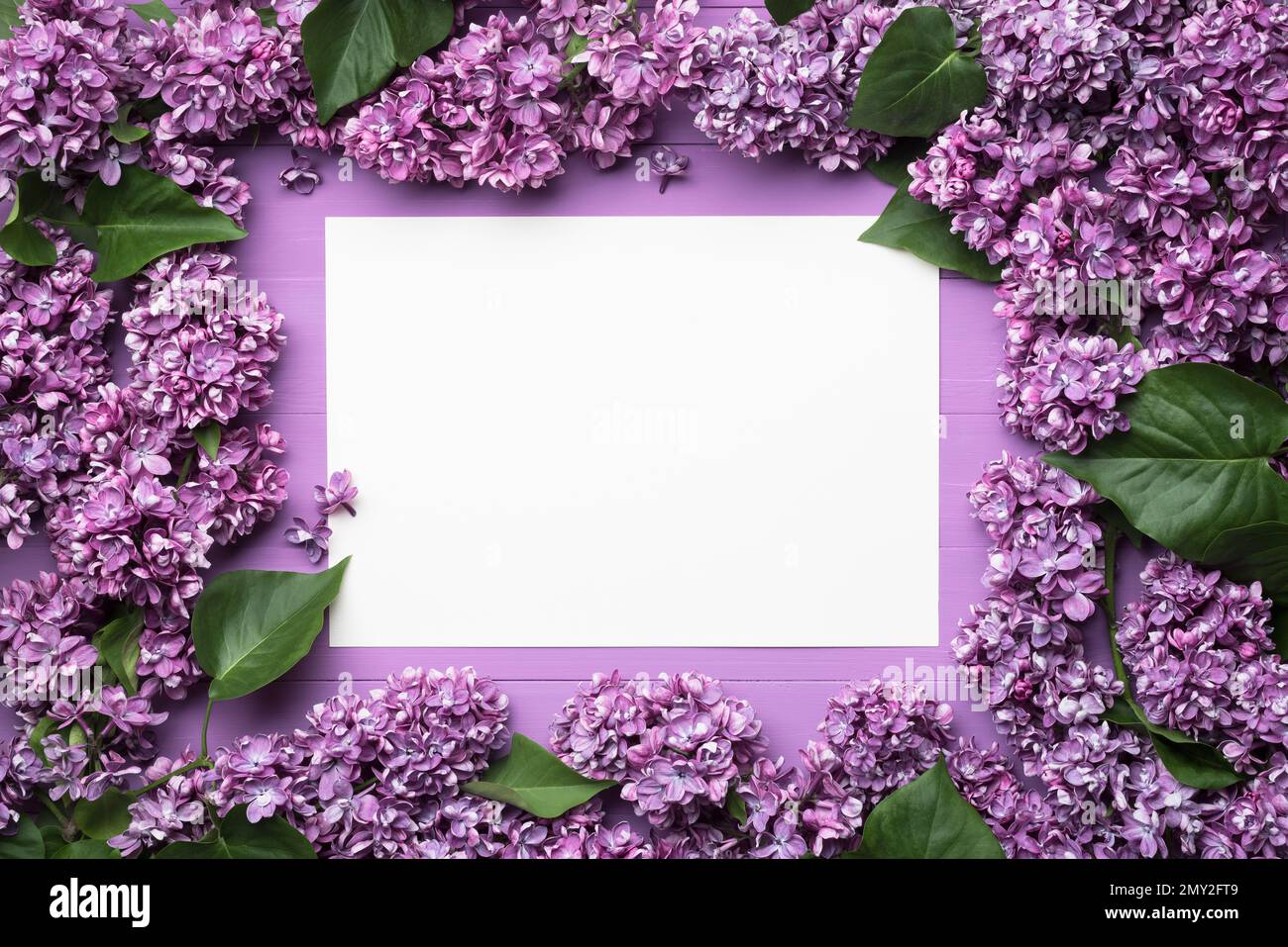Cornice di fiori immagini e fotografie stock ad alta risoluzione - Alamy