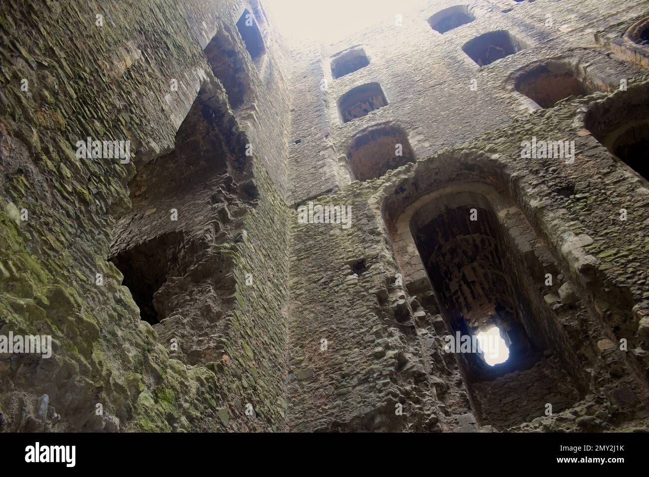 All'interno delle rovine del castello di Rochester, guardando la struttura in pietra di Rochester Kent, Inghilterra, Regno Unito Foto Stock