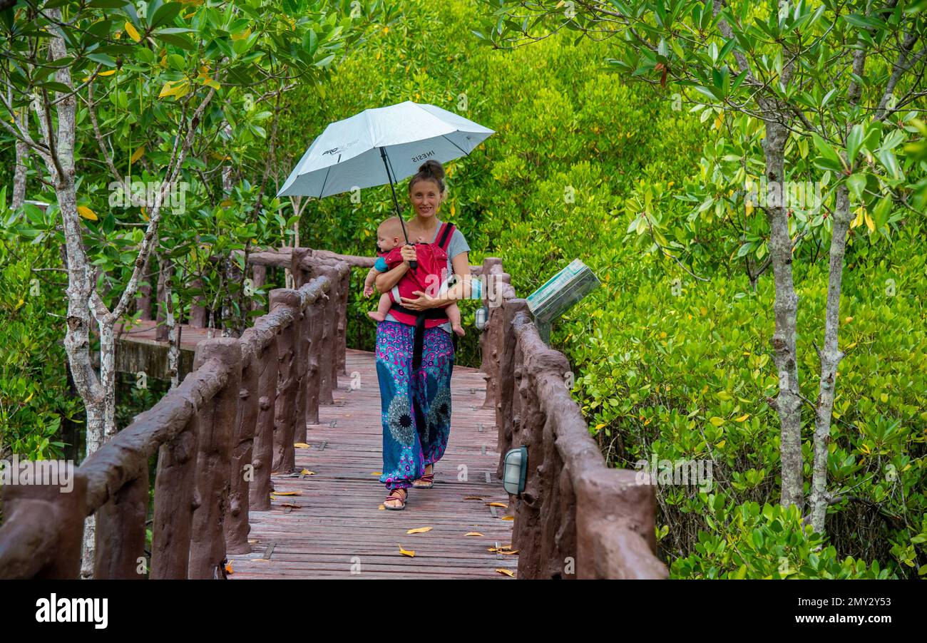 Turista con bambini passeggiate attaccate sul ponte di legno nel Parco Nazionale di Chumphon proteggendosi dal sole con l'ombrello Foto Stock