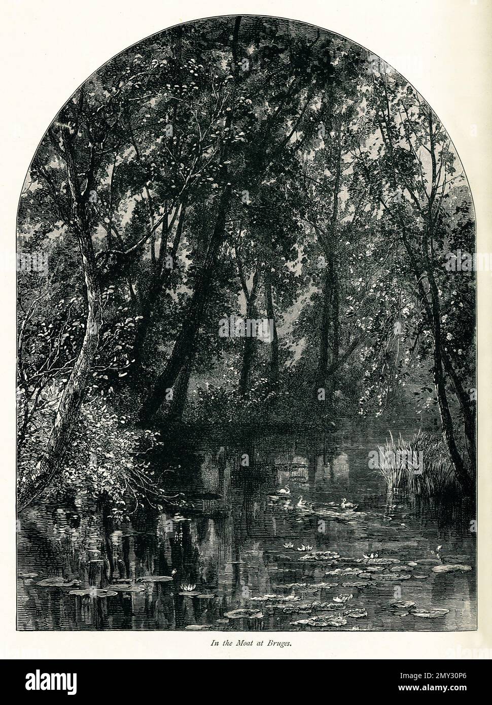 19th ° secolo vista del fossato vicino a Bruges, Belgio. Incisione pubblicata in picturesque Europe, Vol. V (Cassell & Company, Limited: Londra, Parigi e New Foto Stock