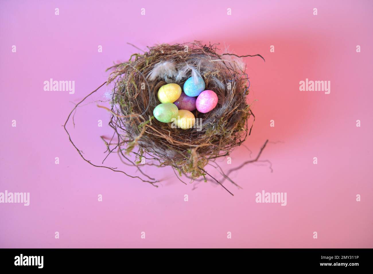 Uova di Pasqua artificiali in nido di uccello reale. Foto orizzontale con nido al centro. Foto Stock
