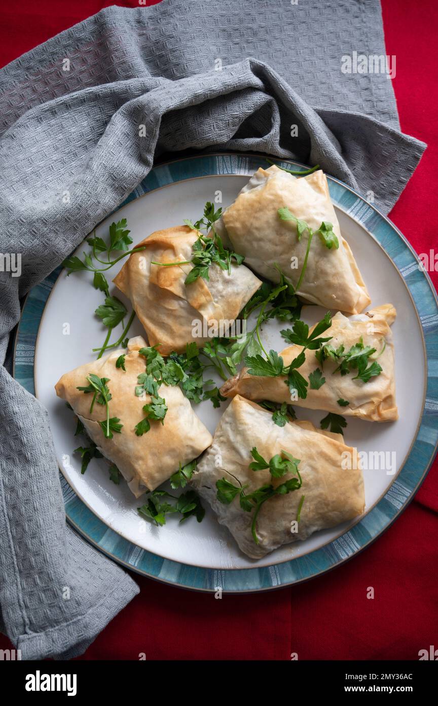 Colli di pasta filo alla greca su piatto con condimento al prezzemolo. Dishcloth e sfondo rosso per vestire. Foto Stock