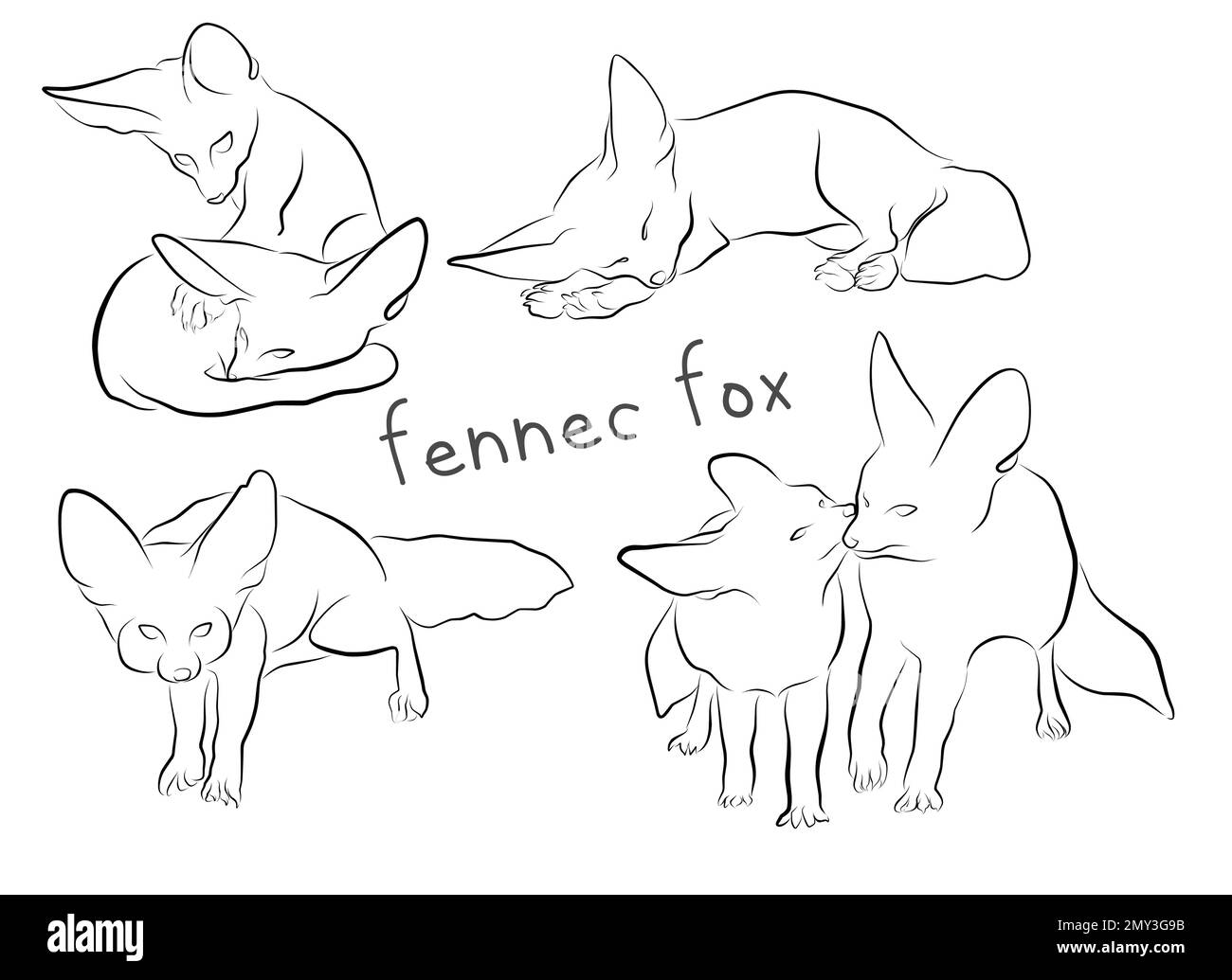 fennec fox set di elementi vettoriali per l'illustrazione del profilo per la progettazione Illustrazione Vettoriale