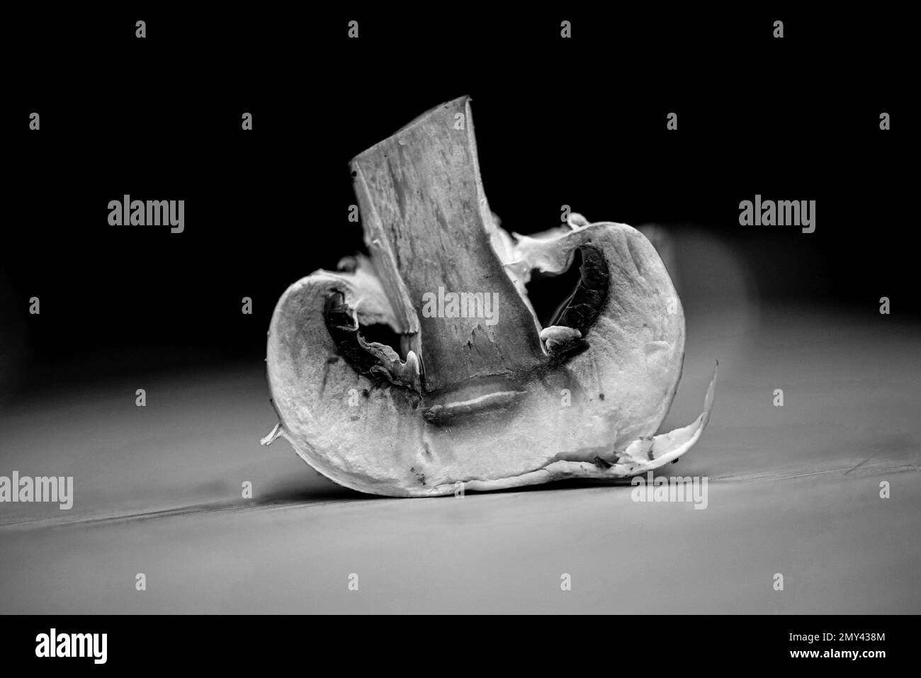 Fotografie scattate per gli amanti dell'arte murale un'esercitazione da tavolo nella cucina degli articoli alimentari sul tagliere Foto Stock