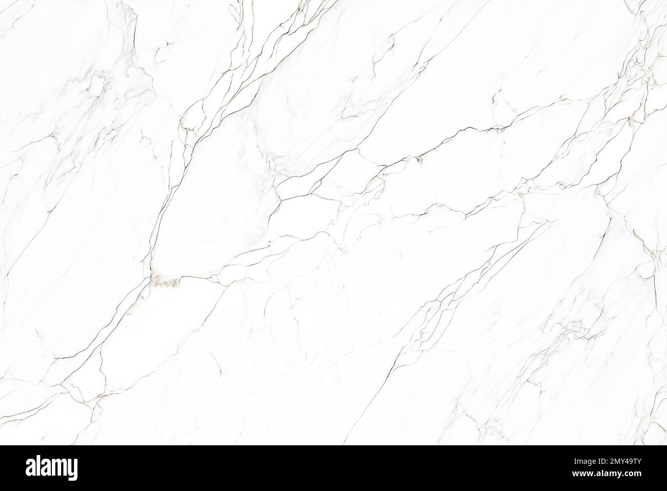 Struttura in marmo bianco, motivo naturale in marmo grigio, carta da parati di alta qualità può essere utilizzato come sfondo per la visualizzazione o montaggio dei prodotti top view o. Foto Stock