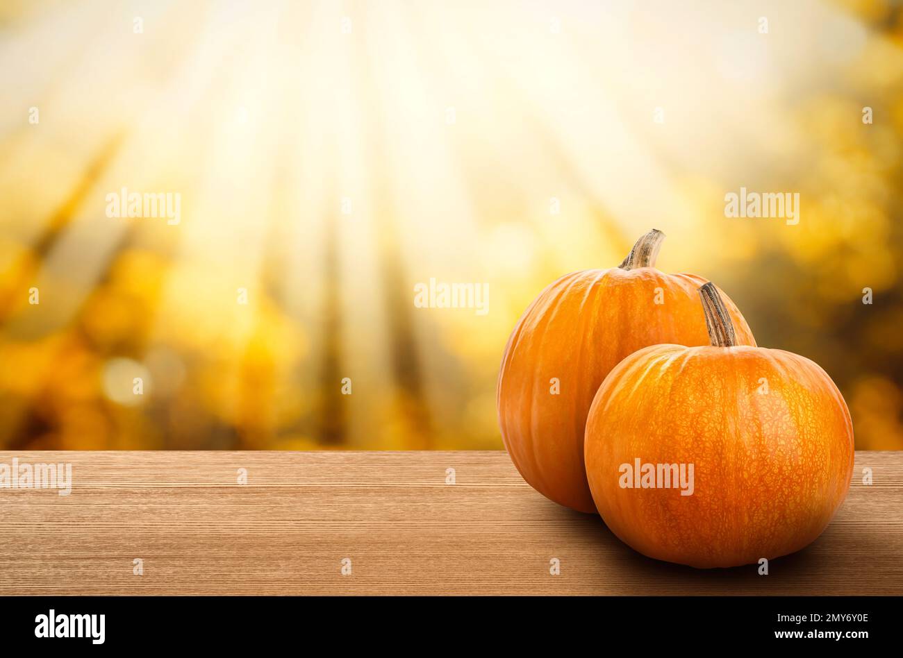 Tavolo in legno con zucche fresche all'aperto nella soleggiata giornata autunnale. Spazio per il testo Foto Stock