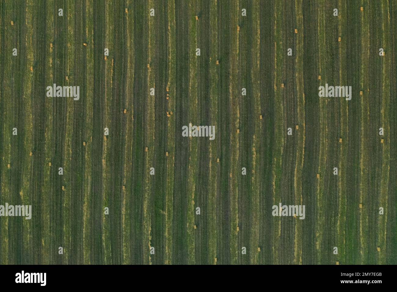 Vista aerea del campo rasato verde con blocchi di fieno all'aperto. Industria agricola Foto Stock