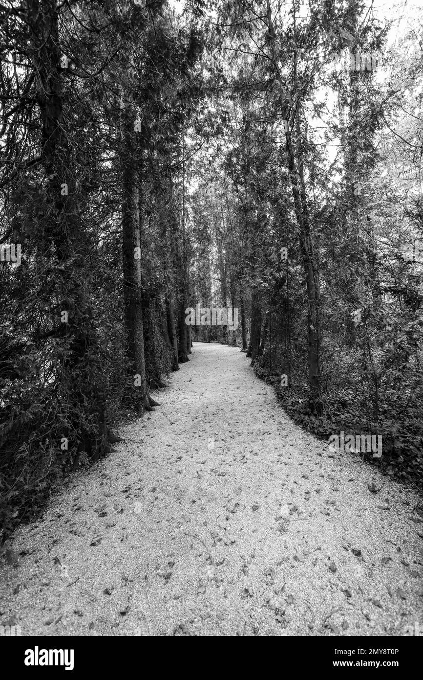 ricordate le persone uccise in guerra, dachau germania Foto Stock