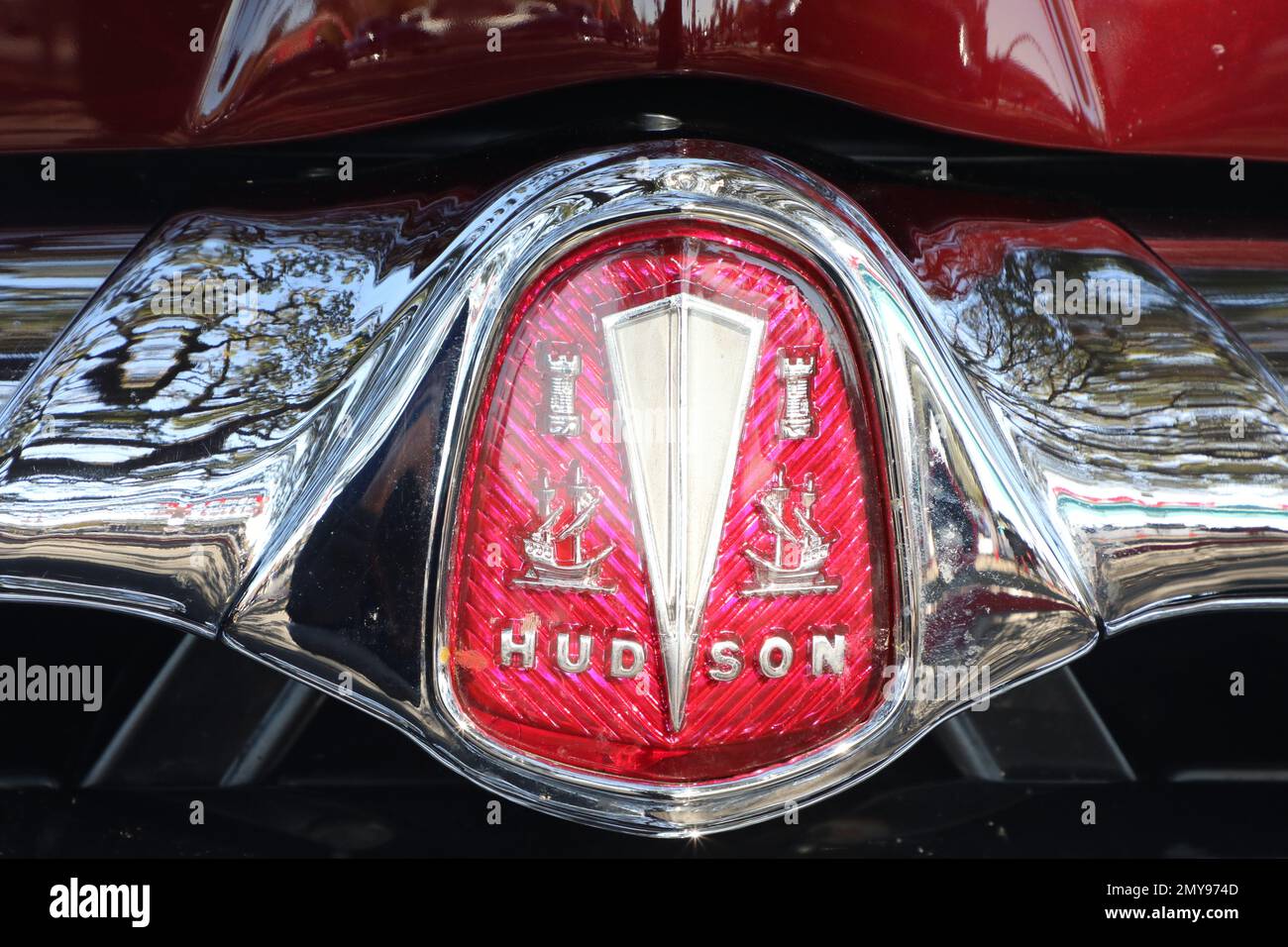 hudson wasp Foto Stock