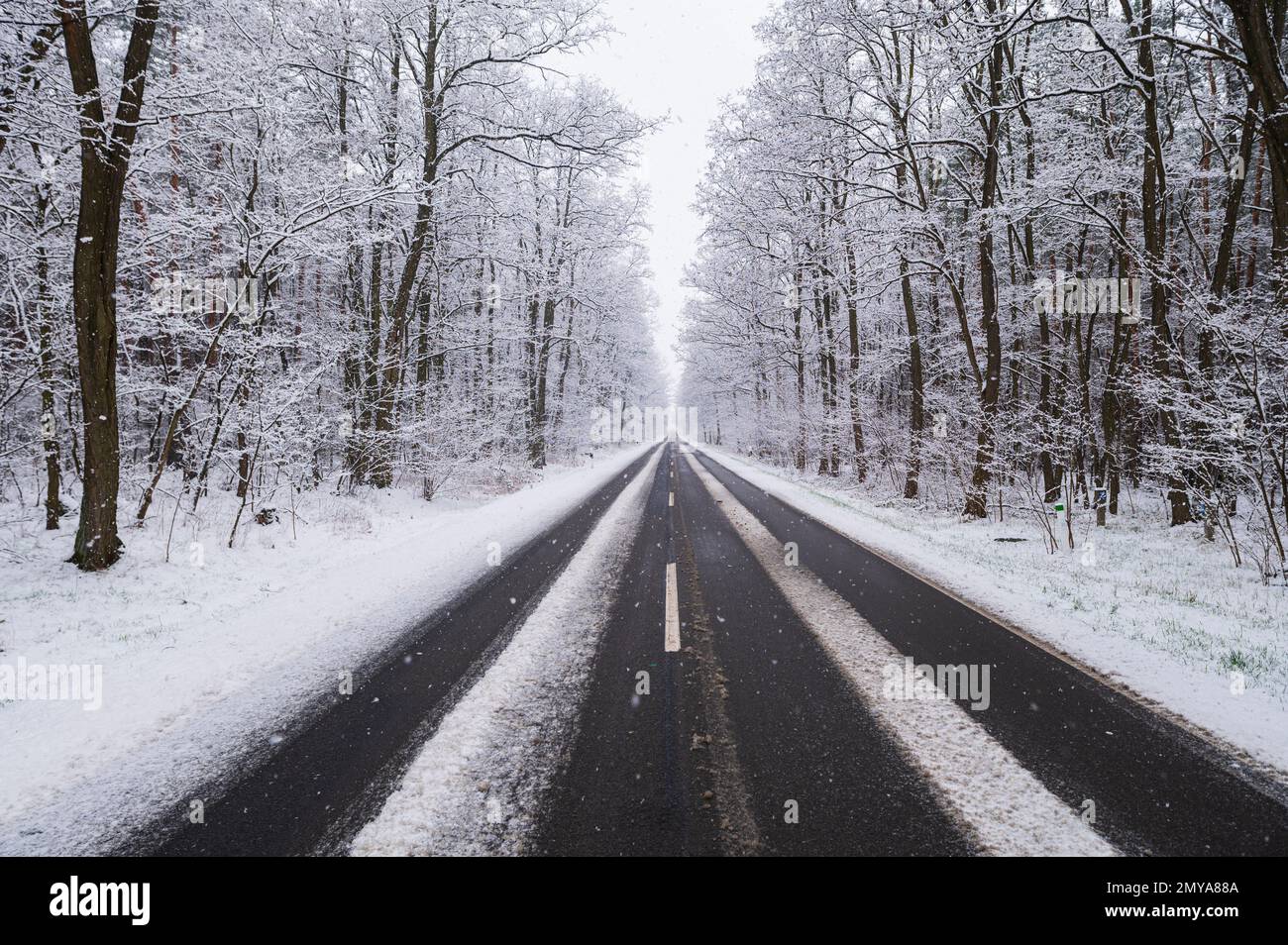 Una strada leggera di campagna innevata in Germania Foto Stock