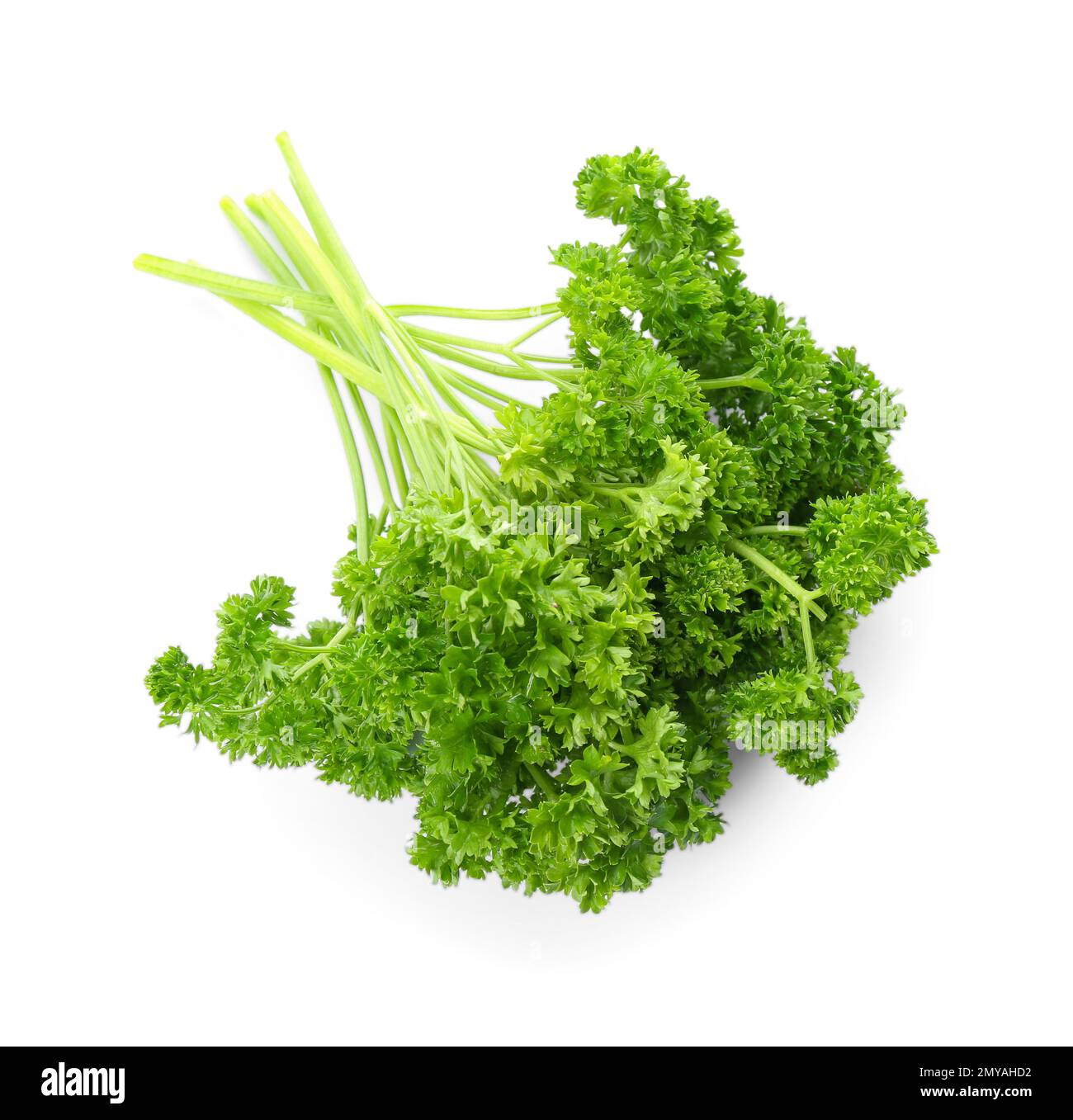 Prezzemolo fresco verde riccio su sfondo bianco, vista dall'alto Foto Stock