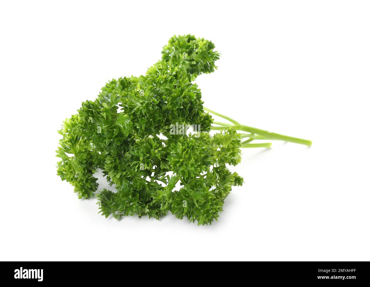 Prezzemolo fresco verde riccio su fondo bianco Foto Stock