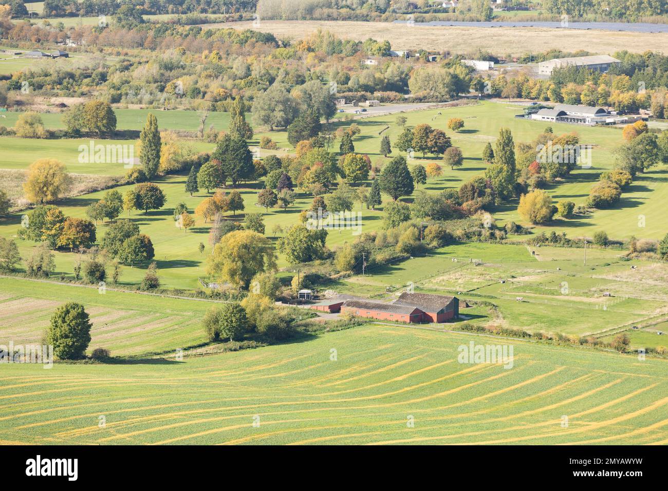 Vista panoramica del paesaggio dei campi coltivati verdi visti dalla piana di Salisbury nel Wiltshire, Inghilterra Foto Stock