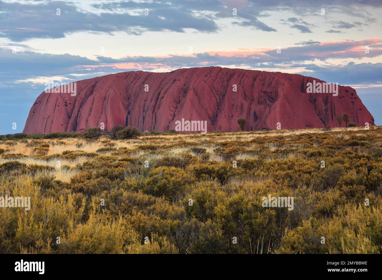 479 veduta distante di Uluru Ayers Rock al tramonto sotto la luce fredda di un cielo molto nuvoloso. NT-Australia. Foto Stock