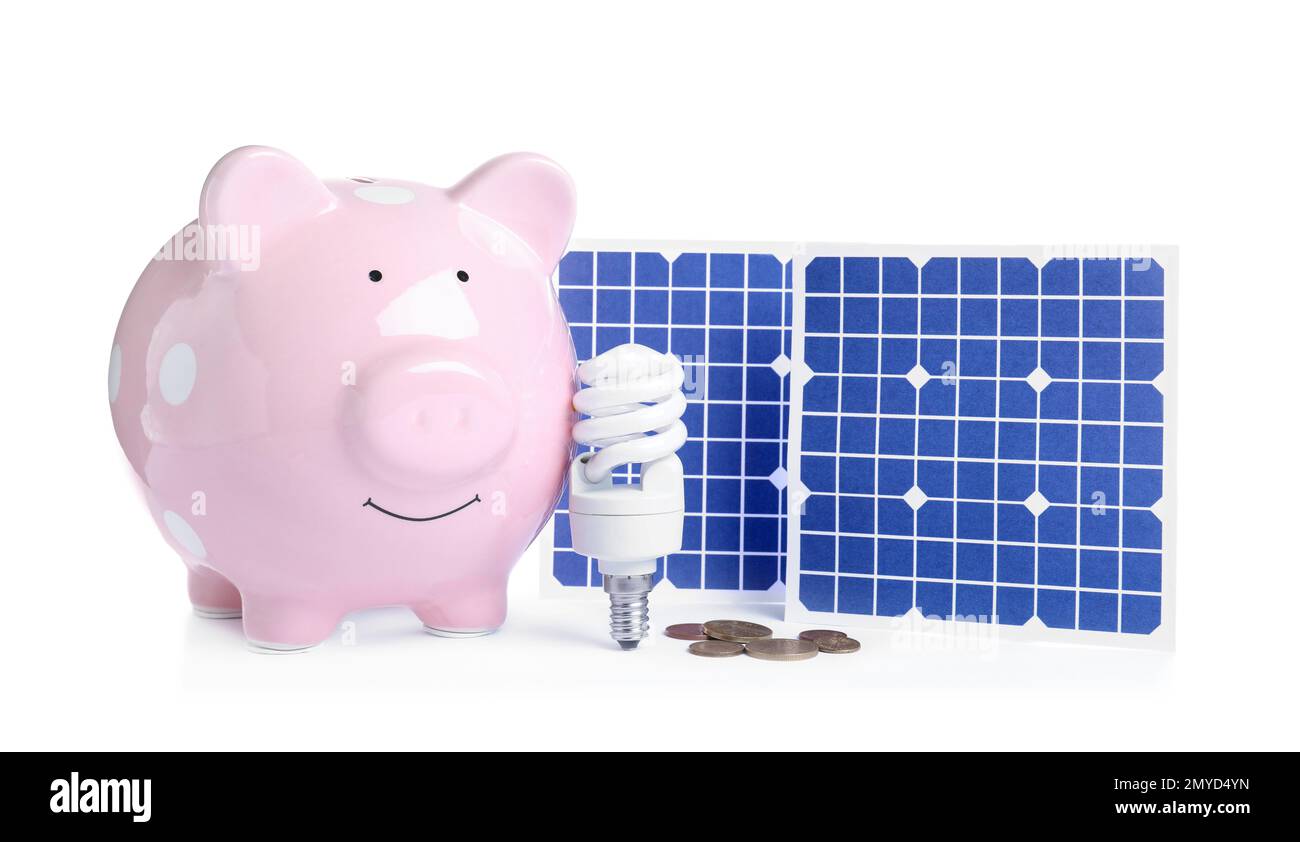 Composizione con pannelli solari e piggy bank su sfondo bianco Foto Stock