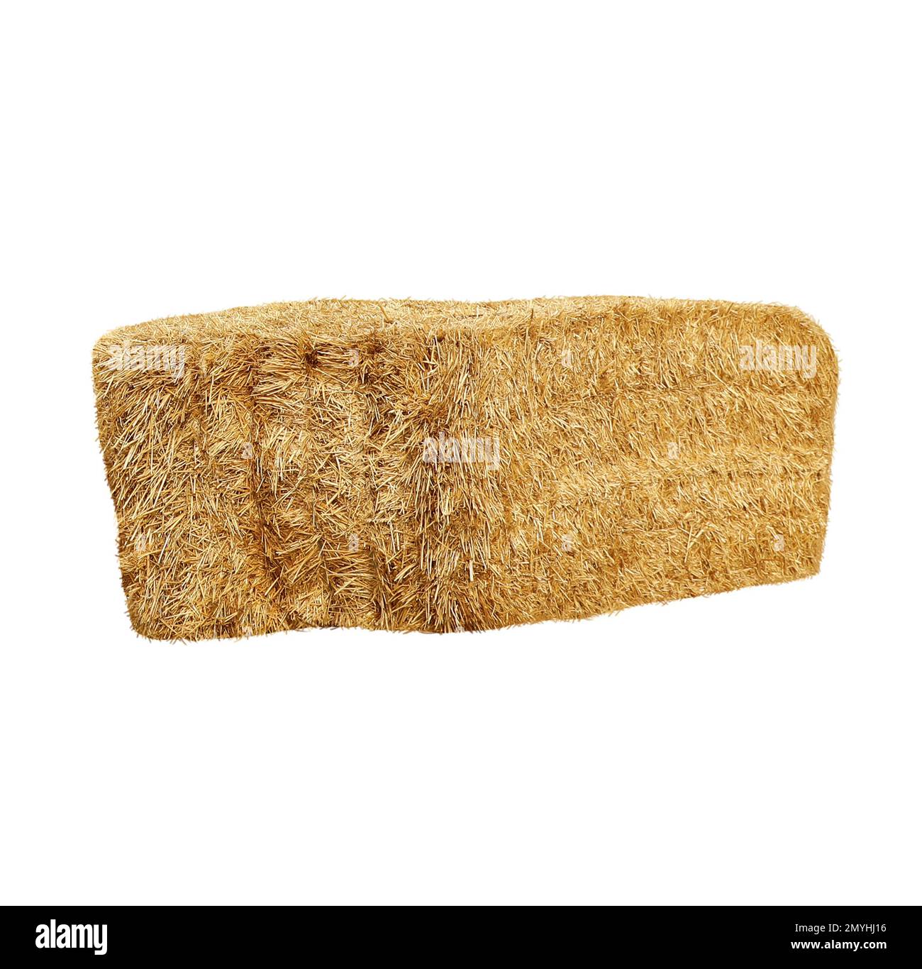 Balle di fieno essiccate isolate su bianco. Industria agricola Foto Stock