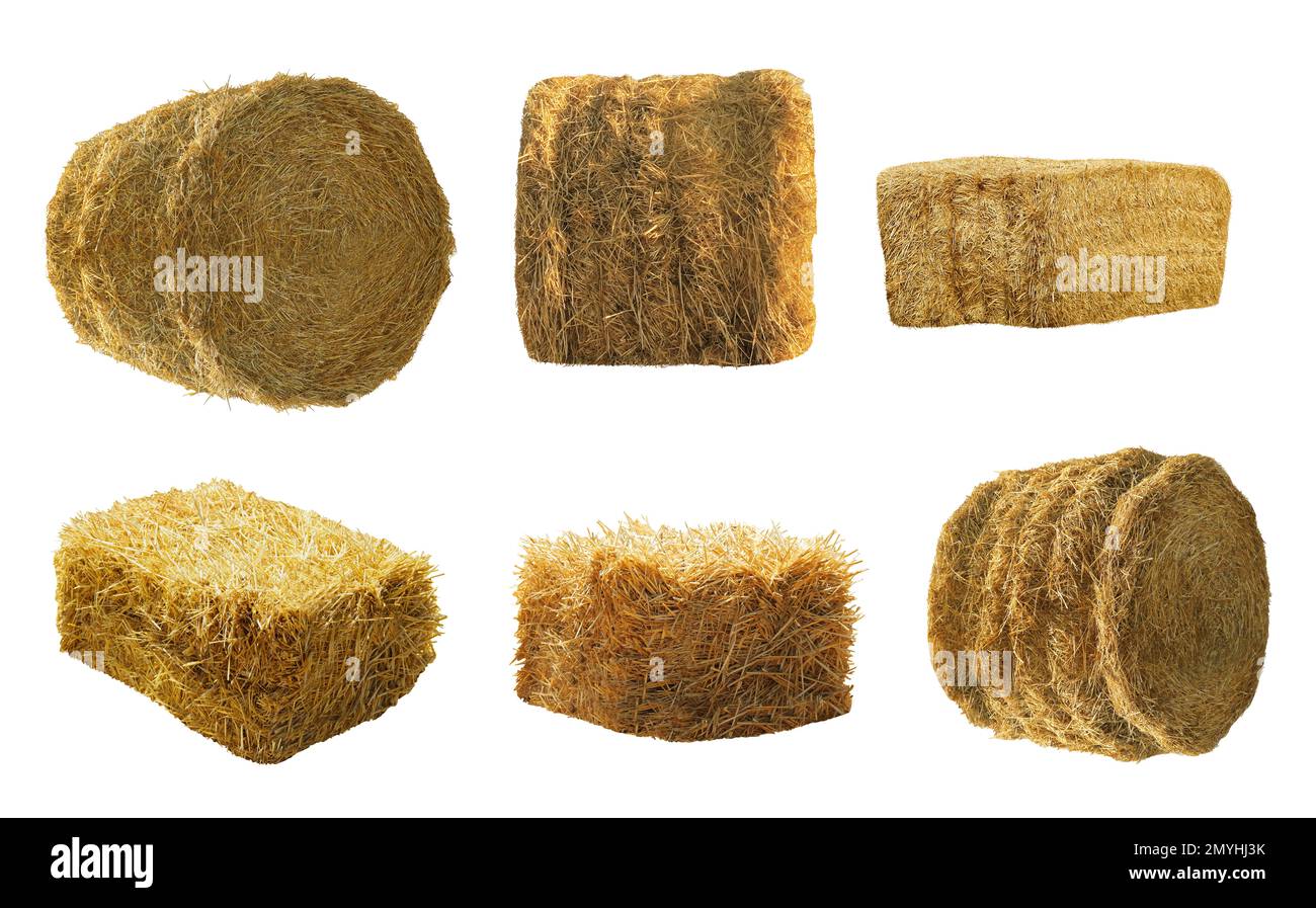 Set di balle di fieno su sfondo bianco. Industria agricola Foto Stock