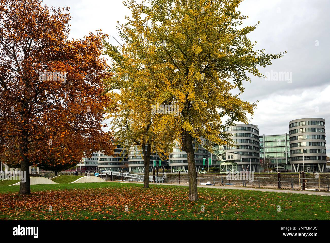 Garden of Memories con cinque Boats Office building, Inner Harbour, Duisburg, Ruhr Area, Renania settentrionale-Vestfalia, Germania, Europa Foto Stock