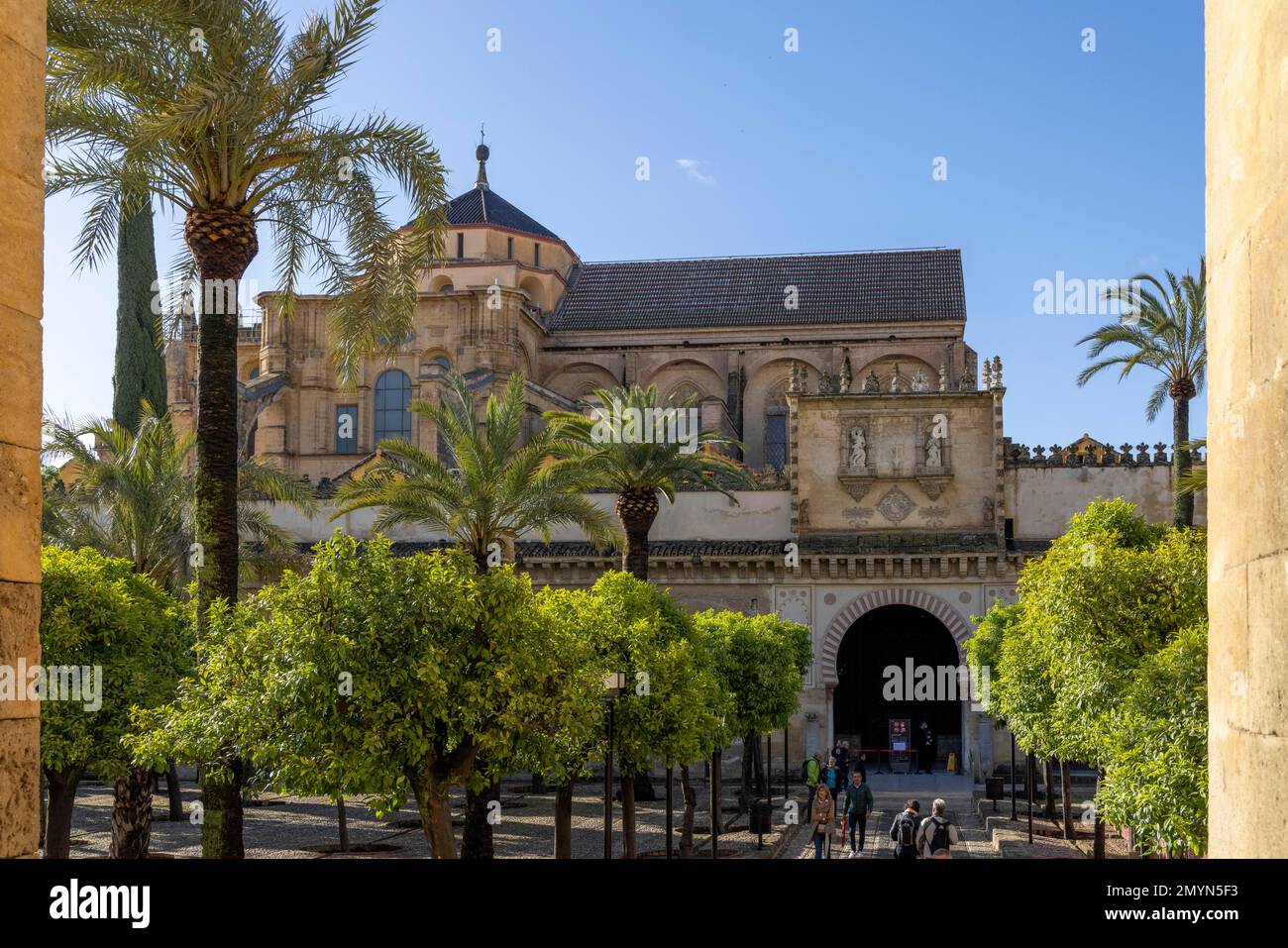 Mezquita a Cordoba, Moschea e Cattedrale, Andalusia, Spagna, Europa Foto Stock