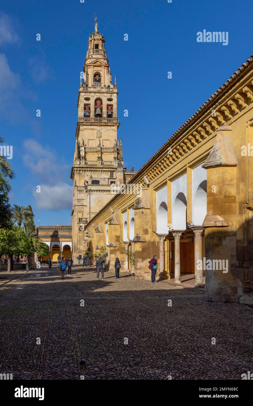 Mezquita a Cordoba, Moschea e Cattedrale, Campanile, Torre de Campanario, Andalusia, Spagna, Europa Foto Stock