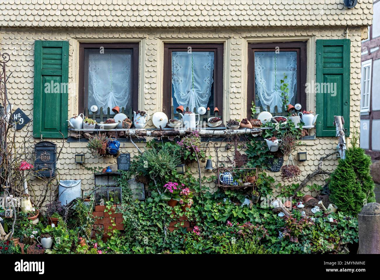 Storica casa in legno decorata con dinnerware, piante e fiori, Città Vecchia, Lauterbach, Vogelsberg, Assia, Germania, Europa Foto Stock