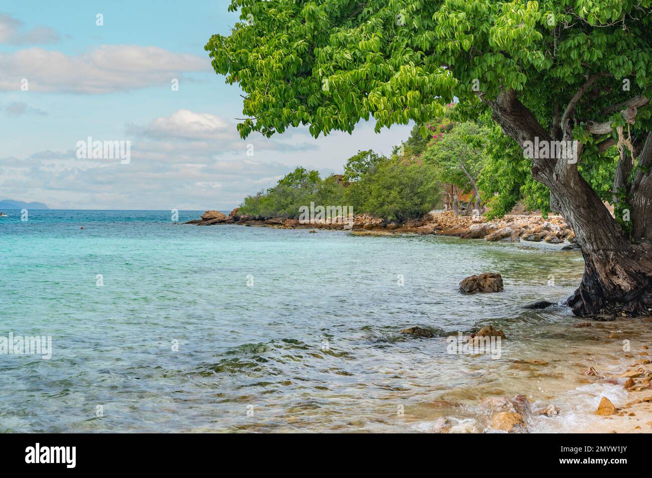 Paesaggio, mare, sud-est asiatico. Spiaggia tropicale con alberi durante le giornate di sole. Isola di Koh Larn, Pattaya, Thailandia. Foto Stock