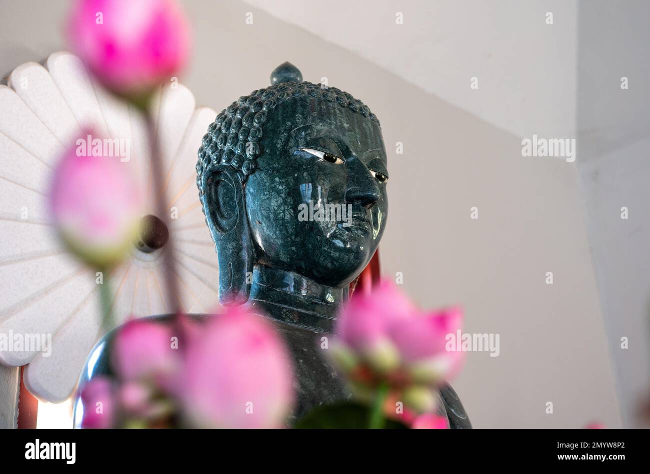 Primo piano della scultura del Buddha nel tempio. Il Buddha Shakyamuni è un insegnante spirituale, una delle tre religioni del mondo. Nome dato Siddhartha Gautama Siddhattha Foto Stock