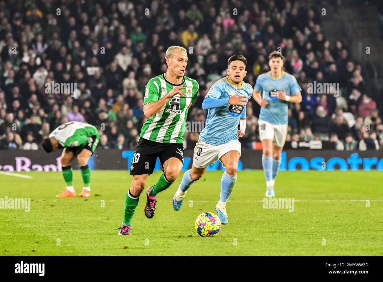 SIVIGLIA, SPAGNA - 4 FEBBRAIO: Sergio Canales di Real Betis Balompie guidare la palla durante la partita tra Real Betis Balompie e RC Celta de Vigo di la Liga Santander il 4 febbraio 2022 a Benito Villamarin a Siviglia, Spagna. (Foto di Samuel Carreño/ PX Images) Foto Stock