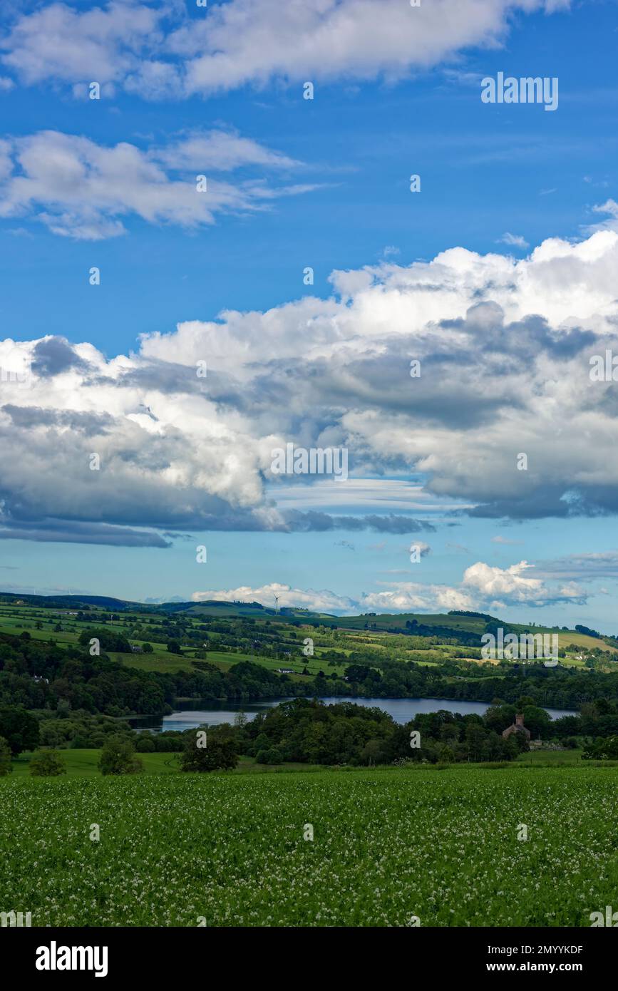Guardando verso il basso Loch Clunie dalle colline circostanti con alberi sparsi tra i terreni agricoli delle colline circostanti. Foto Stock