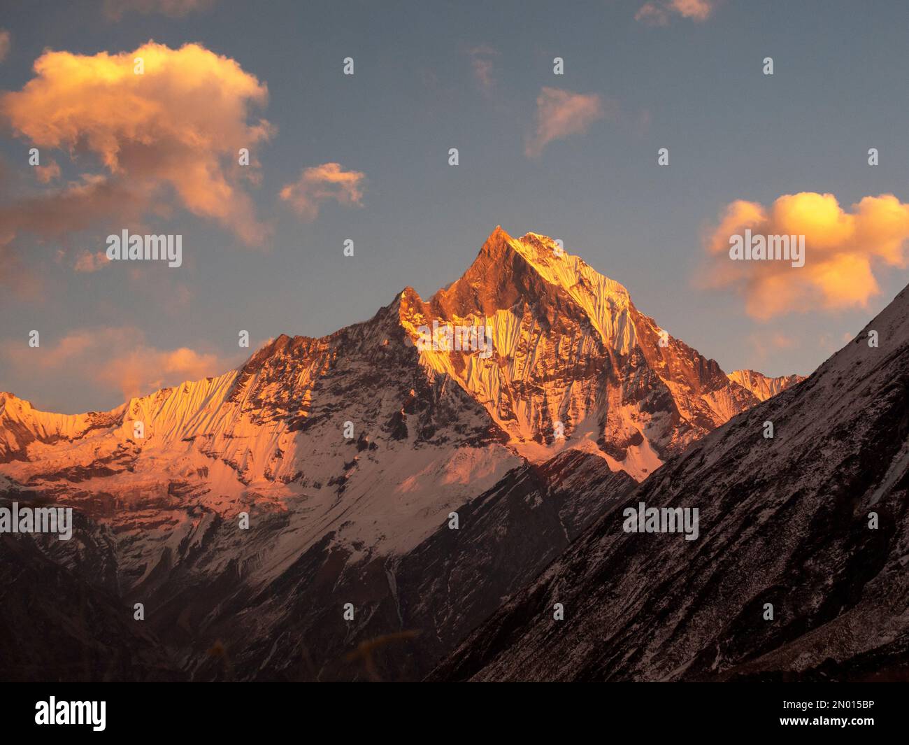 Nepal. Vista orizzontale del Monte Fishtail Machapuchare nella catena dell'Himalaya, nella regione dell'Annapurna, al tramonto. Annapurna base Camp Trek. Foto Stock