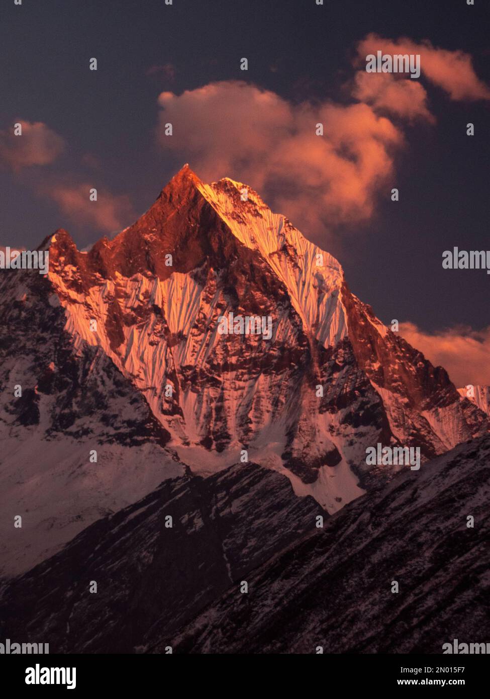 Nepal. Monte Fishtail Machapuchare nella catena dell'Himalaya, nella regione di Annapurna, al tramonto. Anapurna Santuario Trek. Foto Stock