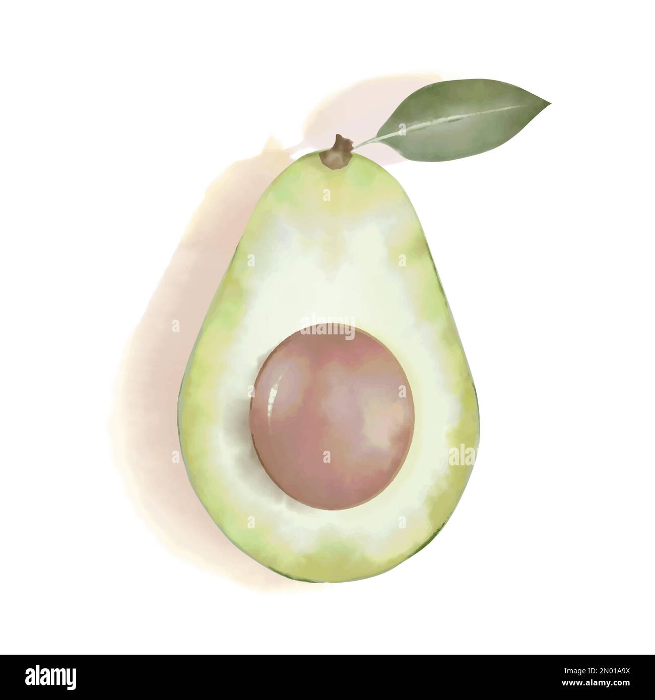 Avocado metà in acquerello. Guacamole ingrediente messicano snack. Elemento di design isolato su sfondo bianco. Illustrazione Vettoriale