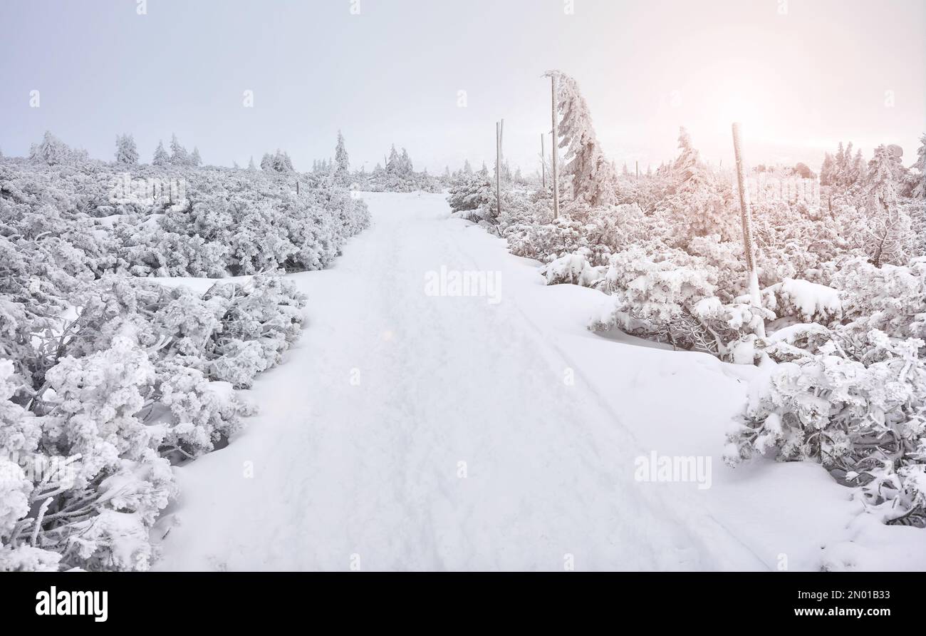 Paesaggio montano invernale con sentiero innevato, Monti Karkonosze, Polonia. Foto Stock