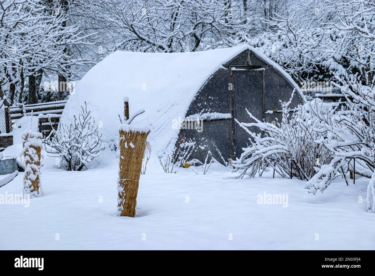 serra d'inverno, vista sul piccolo giardino d'inverno, neve copre oggetti da giardino, alberi e piante Foto Stock