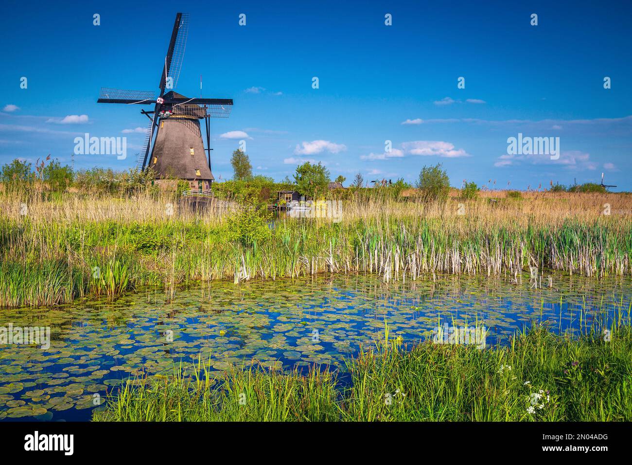 Carino vecchio mulino a vento in legno sulla riva del canale acquatico reedy, museo Kinderdijk, Paesi Bassi, Europa Foto Stock