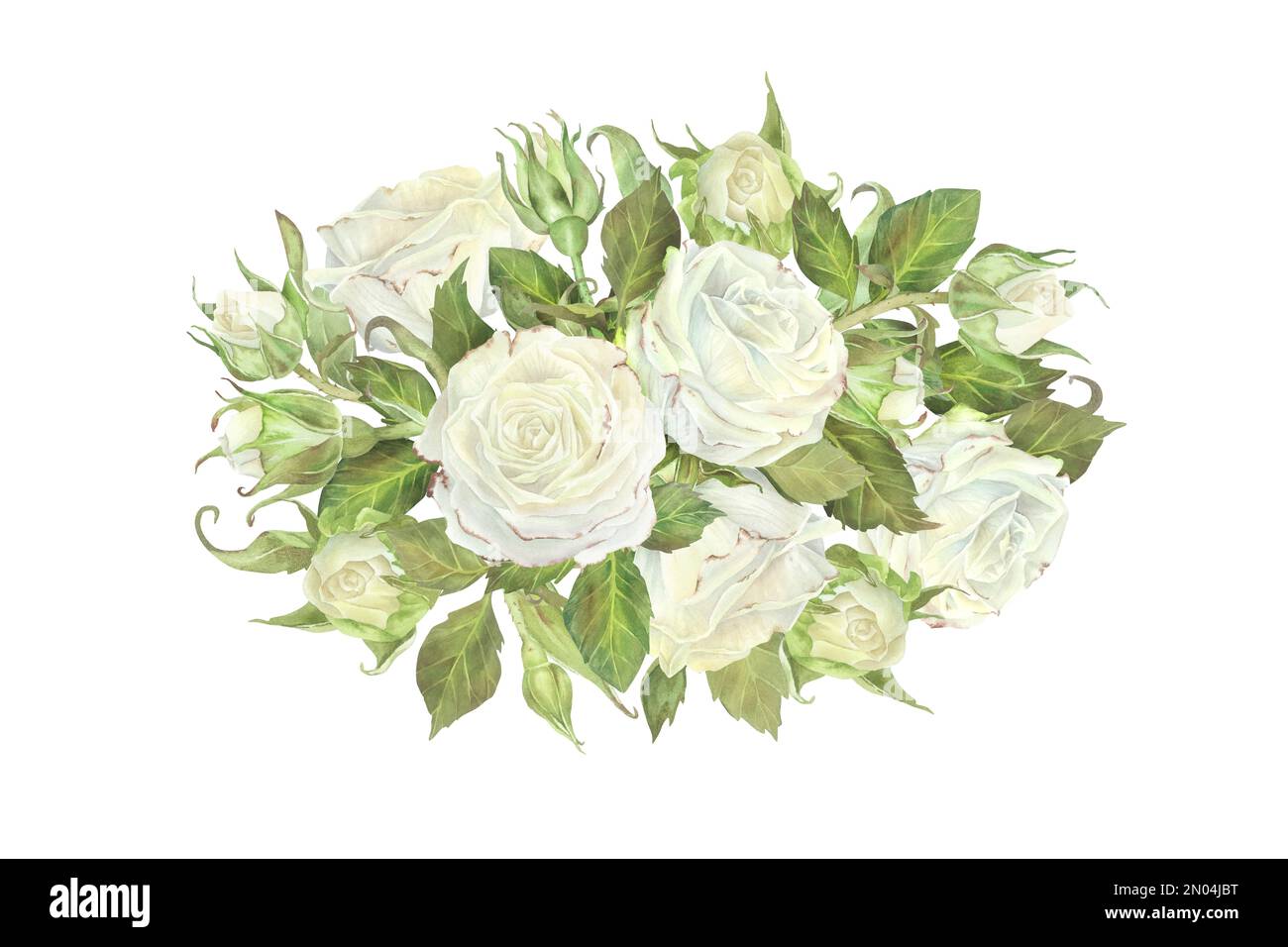 Composizione ovale di rose bianche, gemme e foglie. Illustrazione acquerello. Isolato su sfondo bianco. Per la progettazione di adesivi, piatti, auto di benvenuto Foto Stock