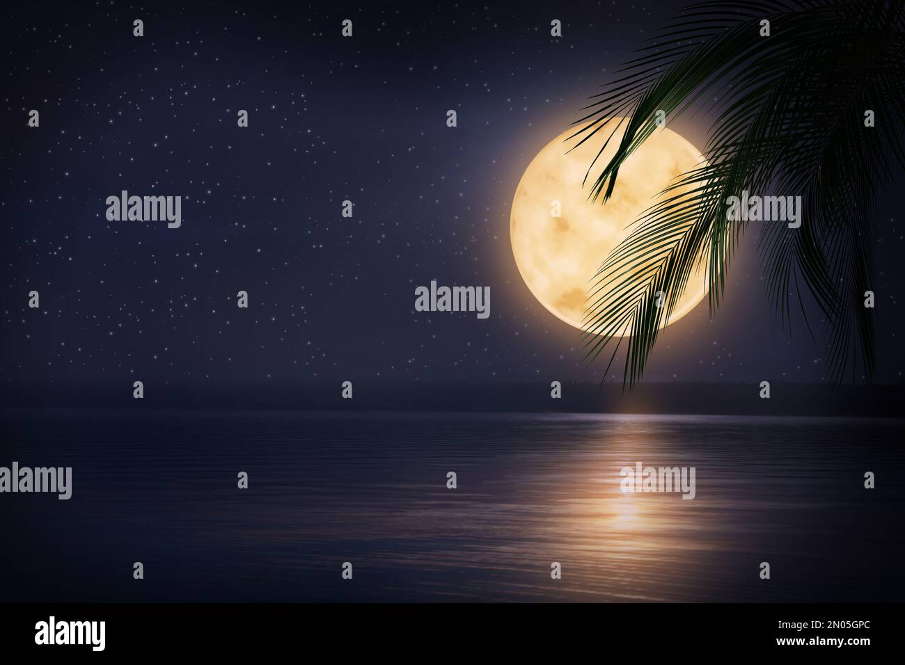 Notte di fantasia. Foglie di palma e luna piena in cielo stellato sul mare Foto Stock