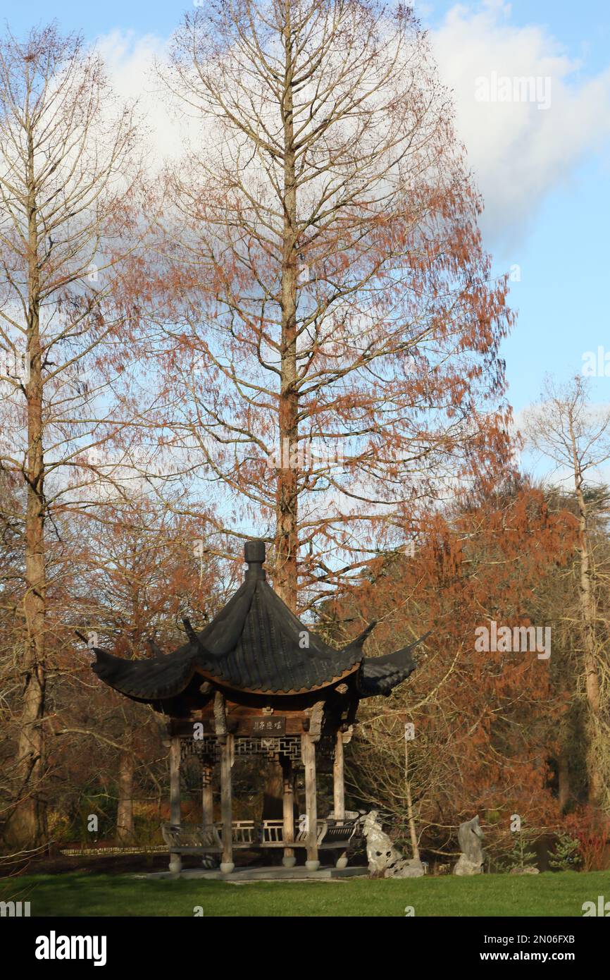 Pagoda Orientale al Wisley RHS Gardens Surrey England Foto Stock