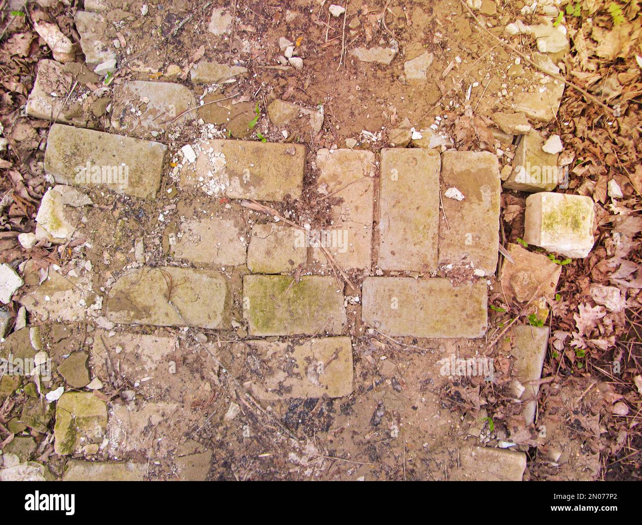 Primo piano di gelo su sentiero in mattoni antichi rigenerati in bella campagna giardino biologico sulle foglie di lichene muschio e erba sul terreno Foto Stock