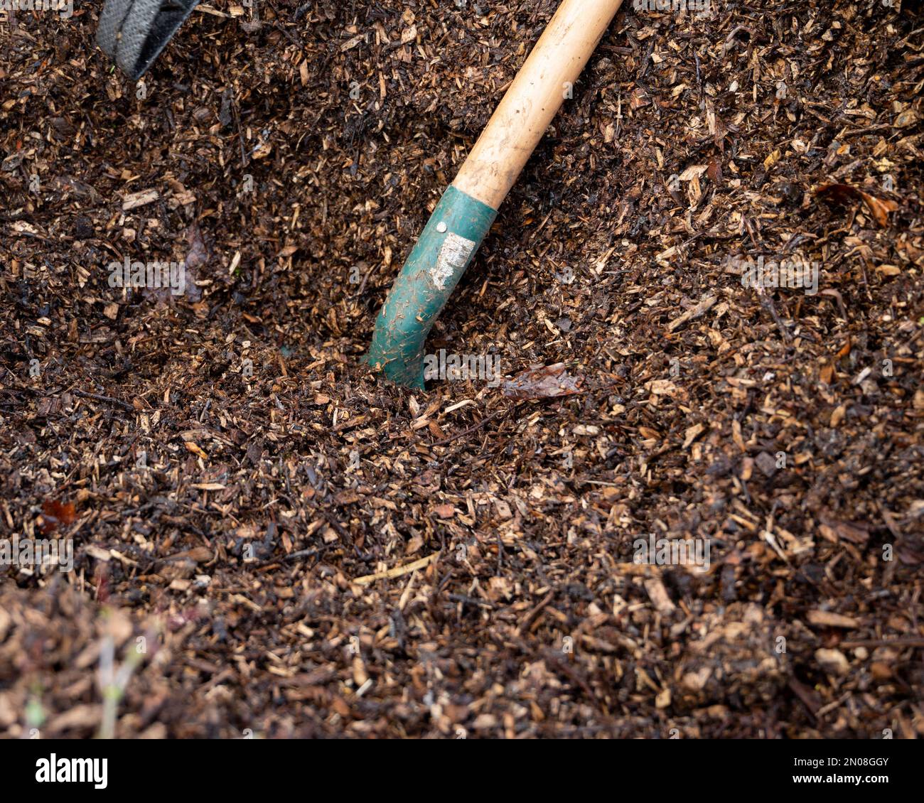 uomo che lavora nell'orto. Giardino di lavoro. Pala con trucioli per giardino. Carriola per il giardino. Uomo che riempie la carriola. Foto Stock