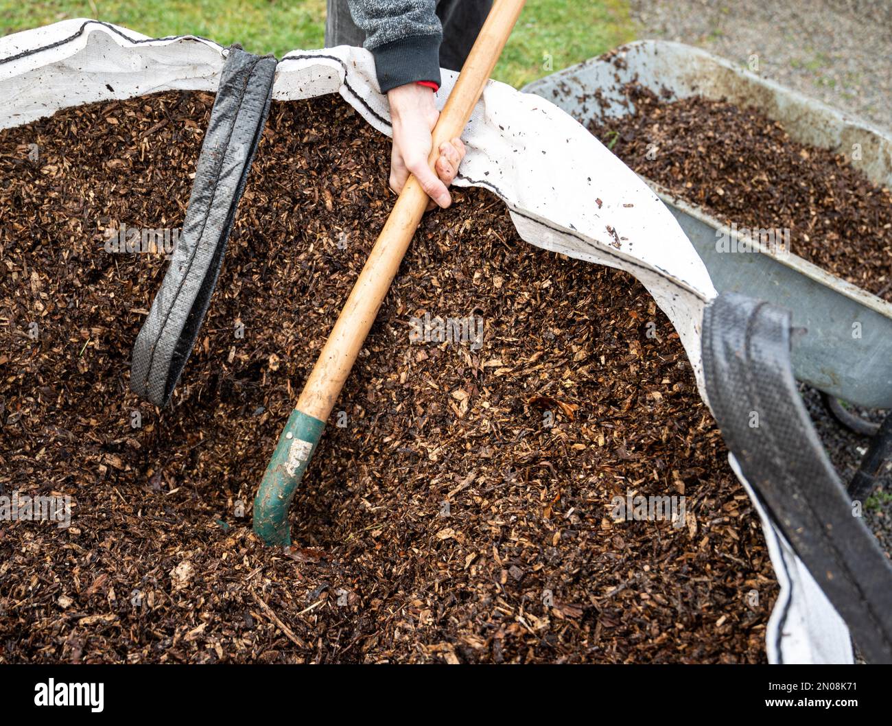 uomo che lavora nell'orto. Giardino di lavoro. Pala con trucioli per giardino. Carriola per il giardino. Uomo che riempie la carriola. Foto Stock