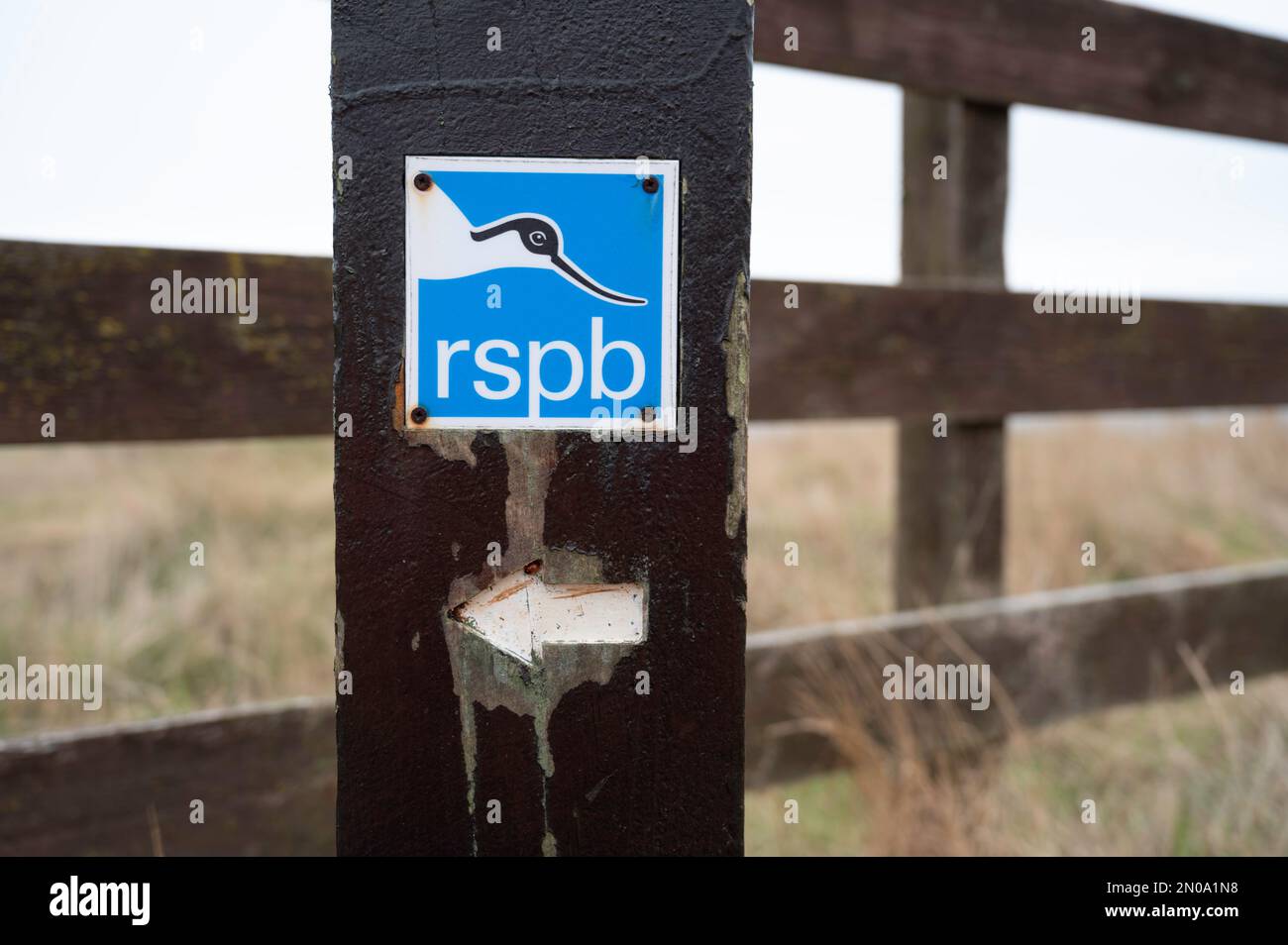 Simbolo RSPB con icona a forma di uccello. Su palo di legno con sfondo sfocato di recinzione e erba lunga in campo. Foto Stock