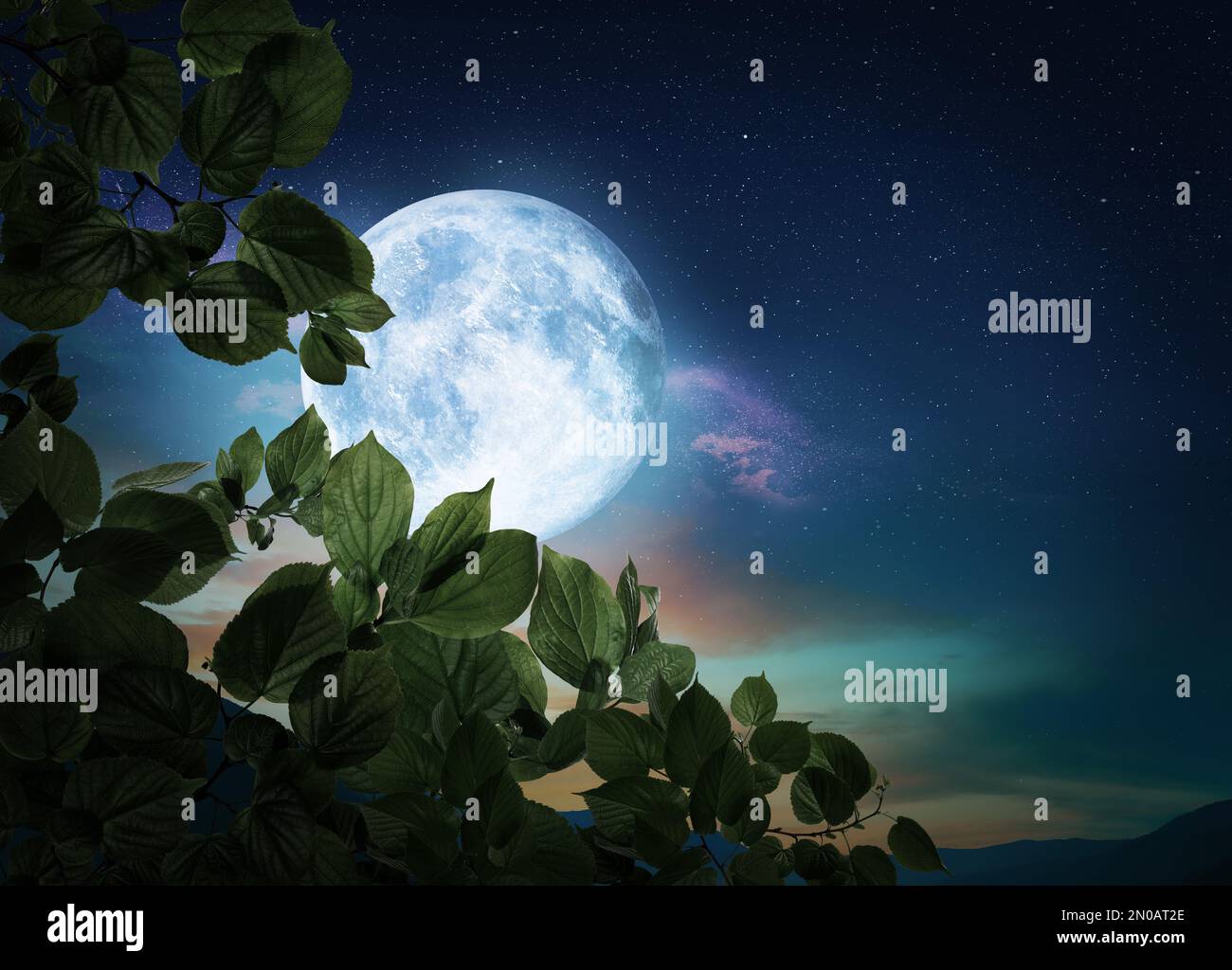 Notte di fantasia. Ramo d'albero e luna piena in cielo stellato Foto Stock