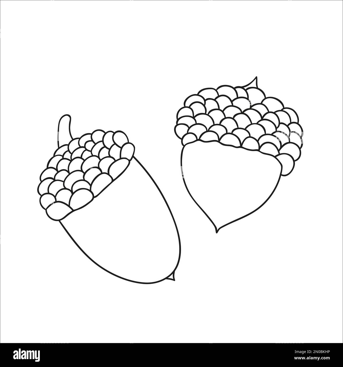 Linea vettoriale icona acorno quercia isolato su sfondo bianco. Albero vegetazione illustrazione botanica. Foto autunnale in stile cartoon Illustrazione Vettoriale