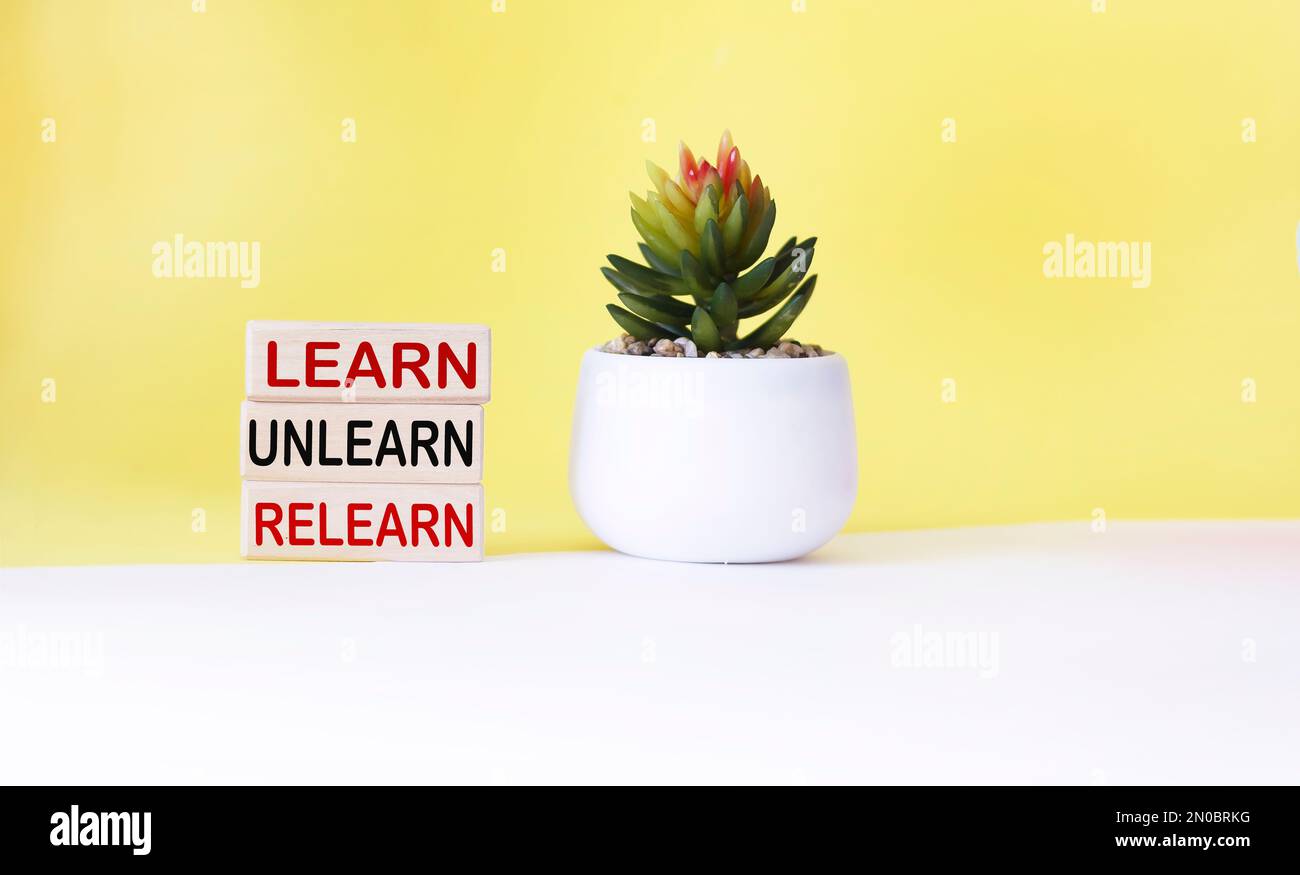 Impara, unlearn, relearn - parole astratte su blocchi di legno con fiore di cactus e sfondo bianco e giallo.apprendimento continuo, istruzione e persona Foto Stock