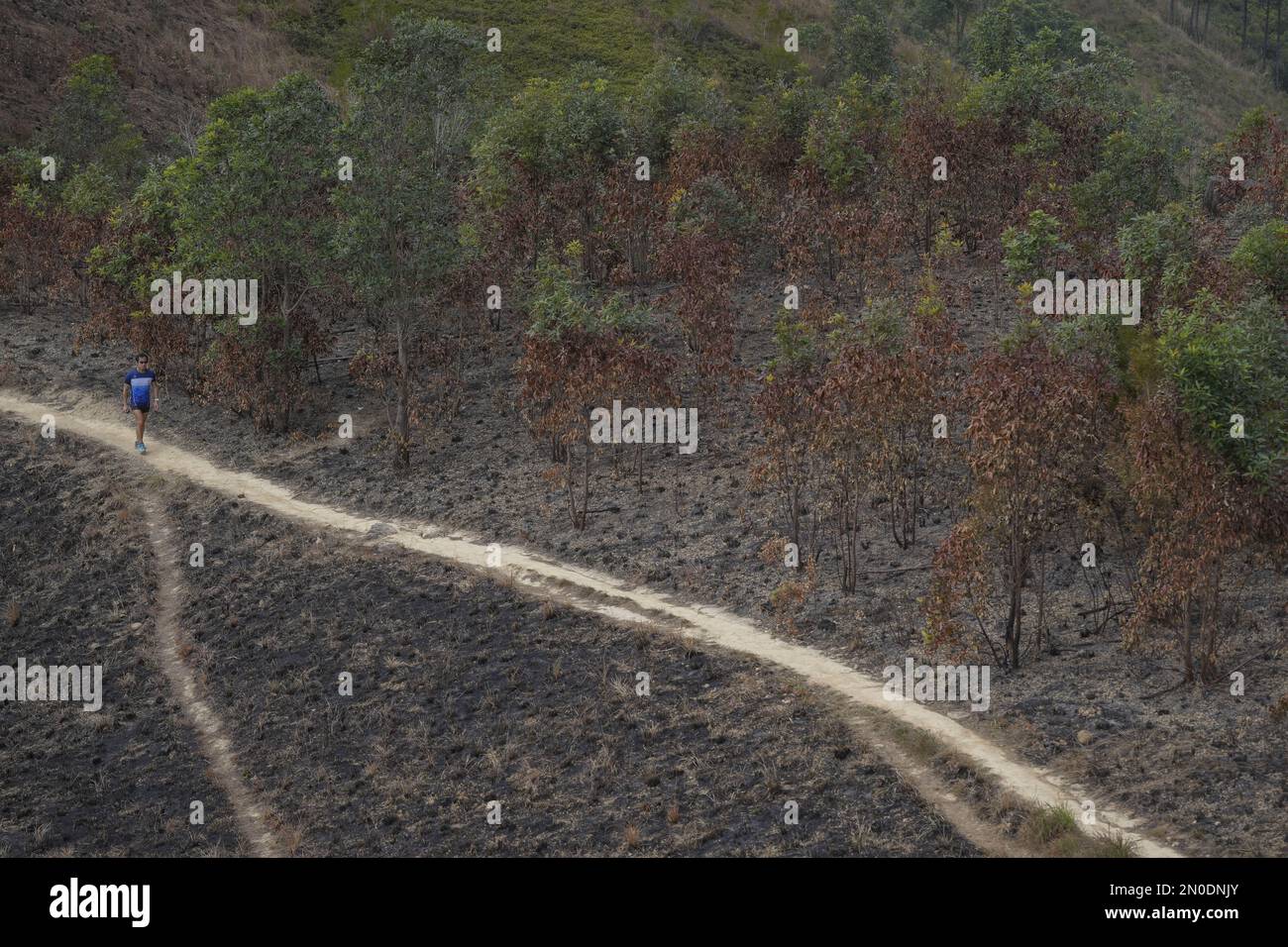 Conseguenze del fuoco selvaggio a Kai Kung Leng (Rooster Ridge) nel Lam Tsuen Country Park, Yuen Long. Almeno 2 sentieri di fiamme sul monte Kai Kung Leng bruciati per 16 ore il 24 gennaio 2023. 01FEB23 SCMP / Elson li Foto Stock