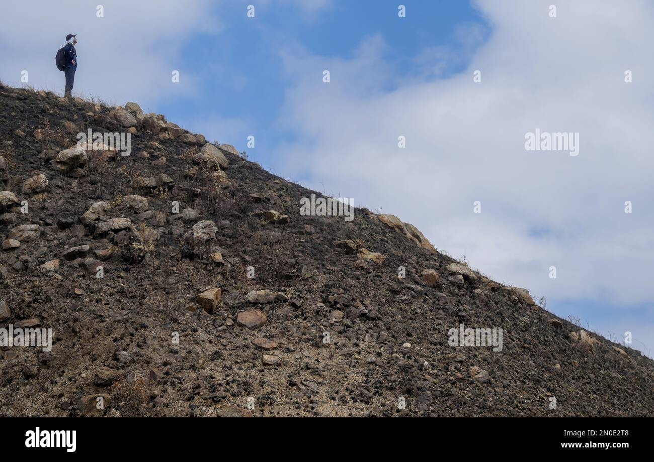 Conseguenze del fuoco selvaggio a Kai Kung Leng (Rooster Ridge) nel Lam Tsuen Country Park, Yuen Long. Almeno 2 sentieri di fiamme sul monte Kai Kung Leng bruciati per 16 ore il 24 gennaio 2023. 01FEB23 SCMP / Elson li Foto Stock