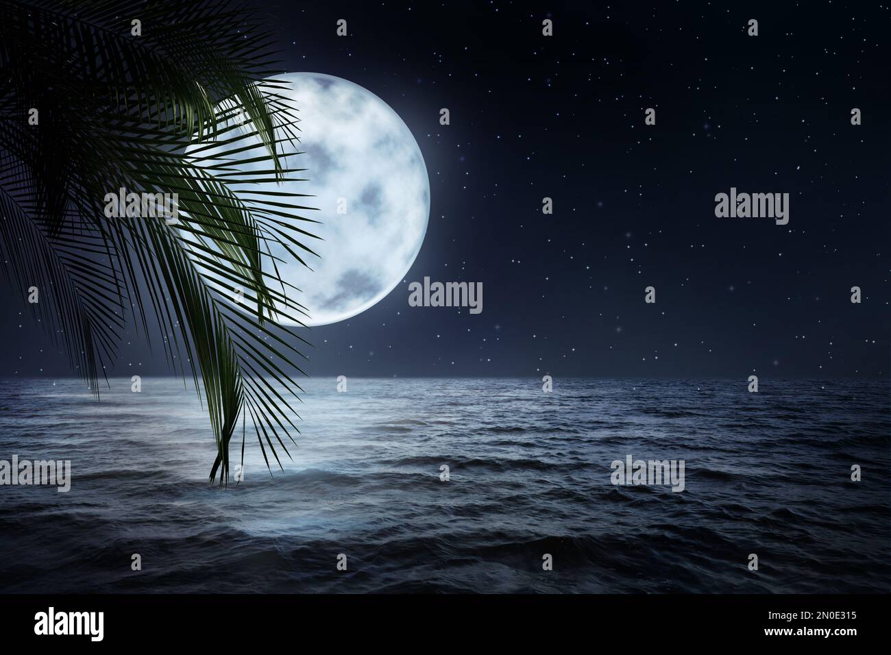 Notte di fantasia. Foglie di palma e luna piena in cielo stellato sul mare Foto Stock