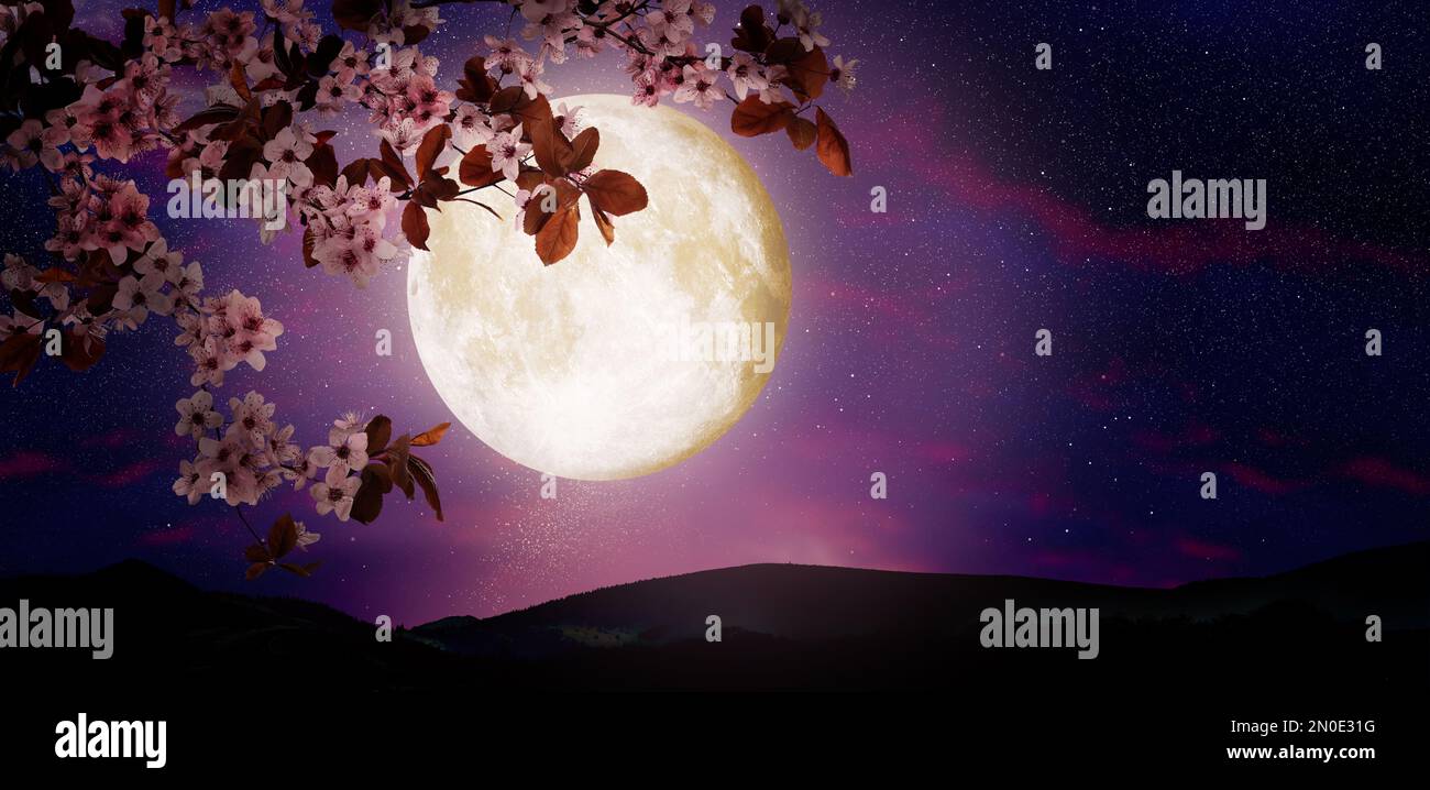 Notte di fantasia. Fioritura del ramo di ciliegio e cielo stellato con luna piena sullo sfondo Foto Stock